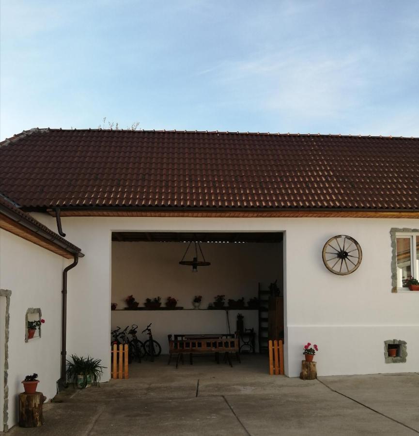 Borlova /Muntele Mic Hotel Exterior foto
