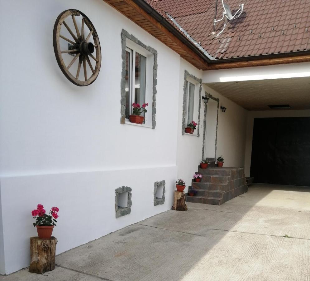 Borlova /Muntele Mic Hotel Exterior foto