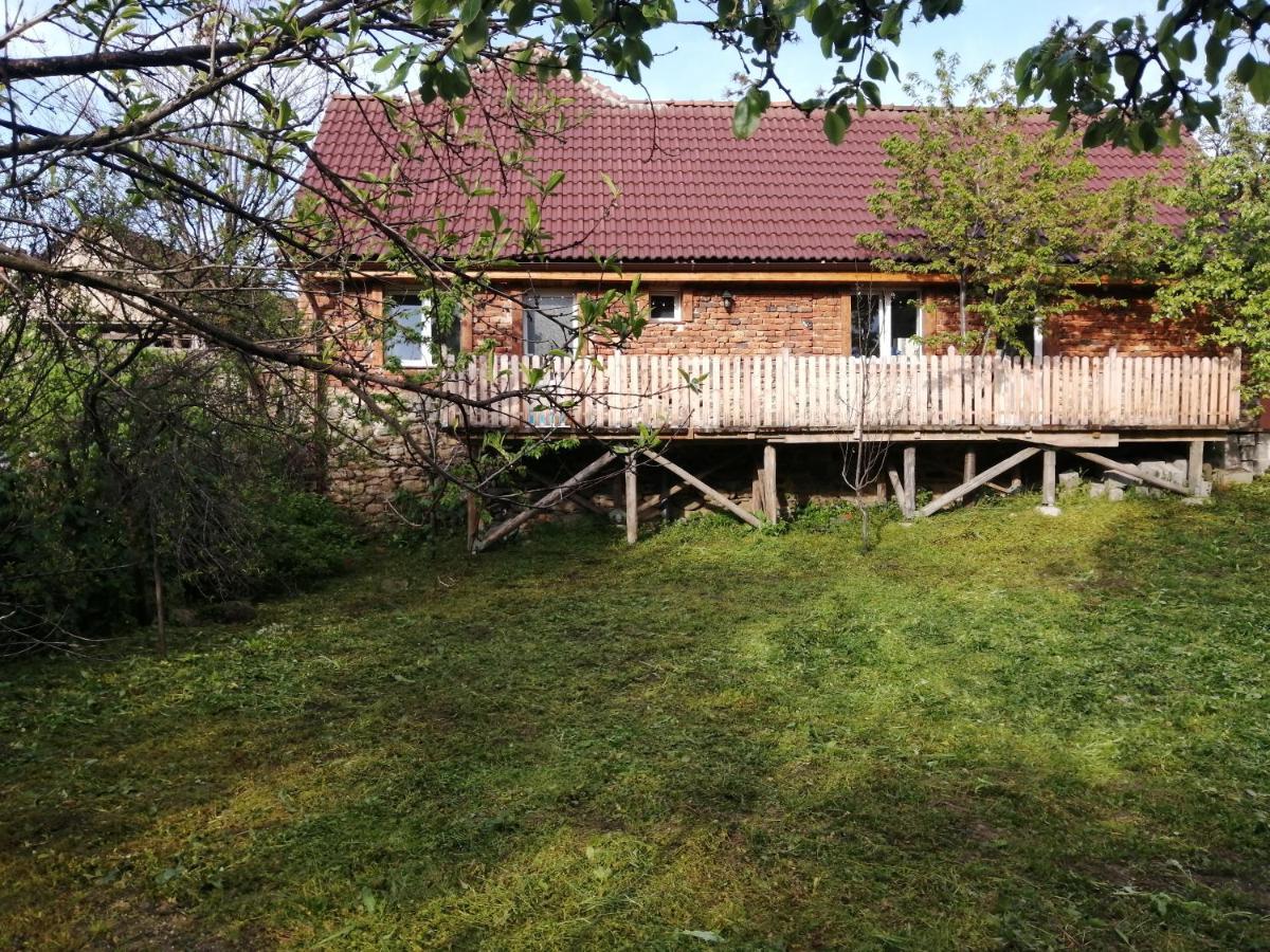 Borlova /Muntele Mic Hotel Exterior foto